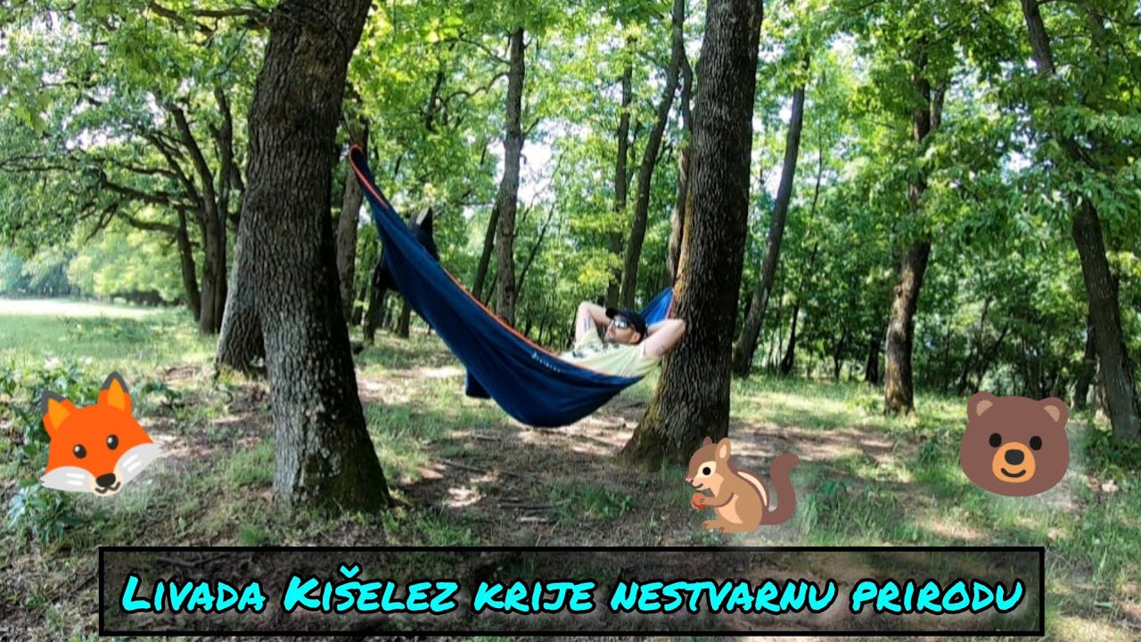 U Potrazi za Prekrasnom Prirodom/ Selo Vizić, Manastir Đipša