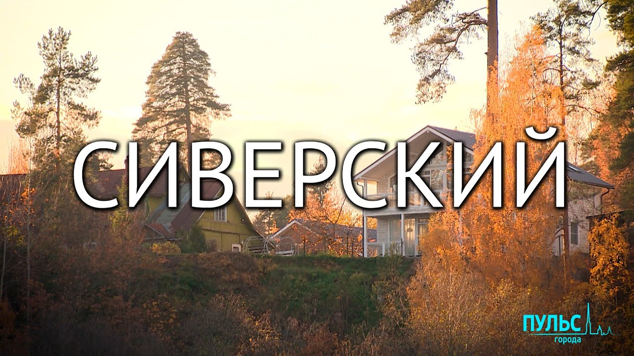 Путешествие за вдохновением. Сиверский