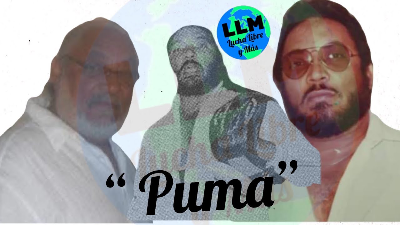 PUMA Y SU HISTORIA - PARTE 1