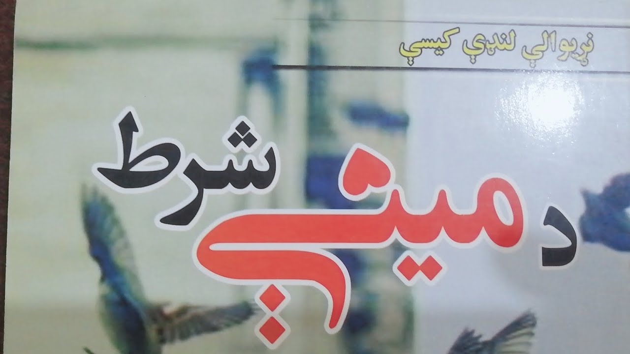 د مينې شرط پوره کتاب (لنډي کيسې) | Pashto Short stories