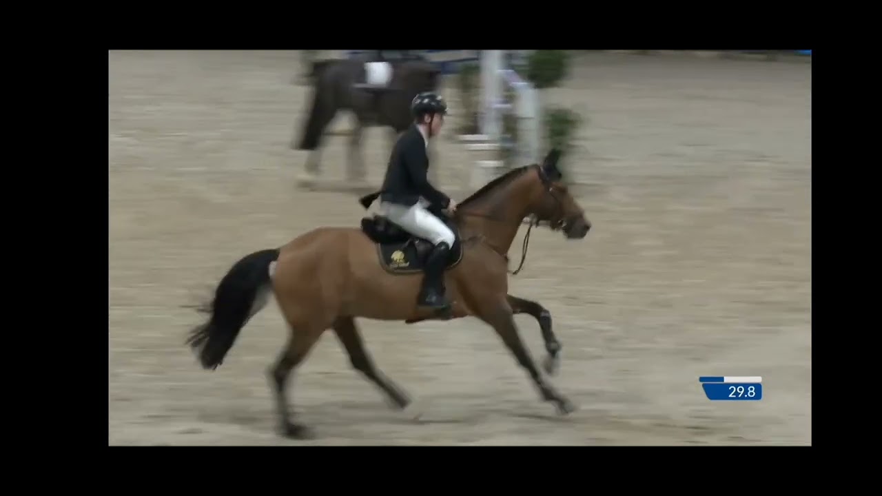 opnieuw 1e plek voor  voor Telstar JM TN en Kars Bonhof  CSIYH1* New years azelhof in Lier