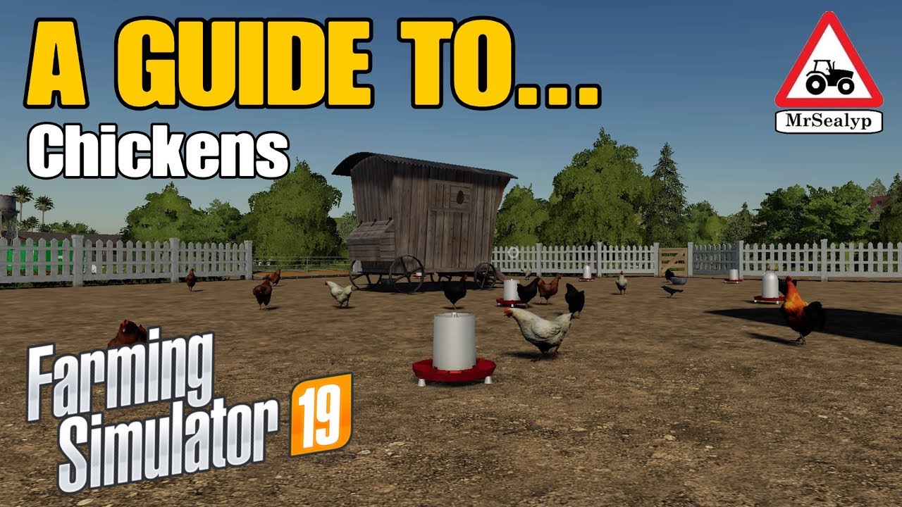 Руководство по... курам! Farming Simulator 19 PS4. Обучающее видео.