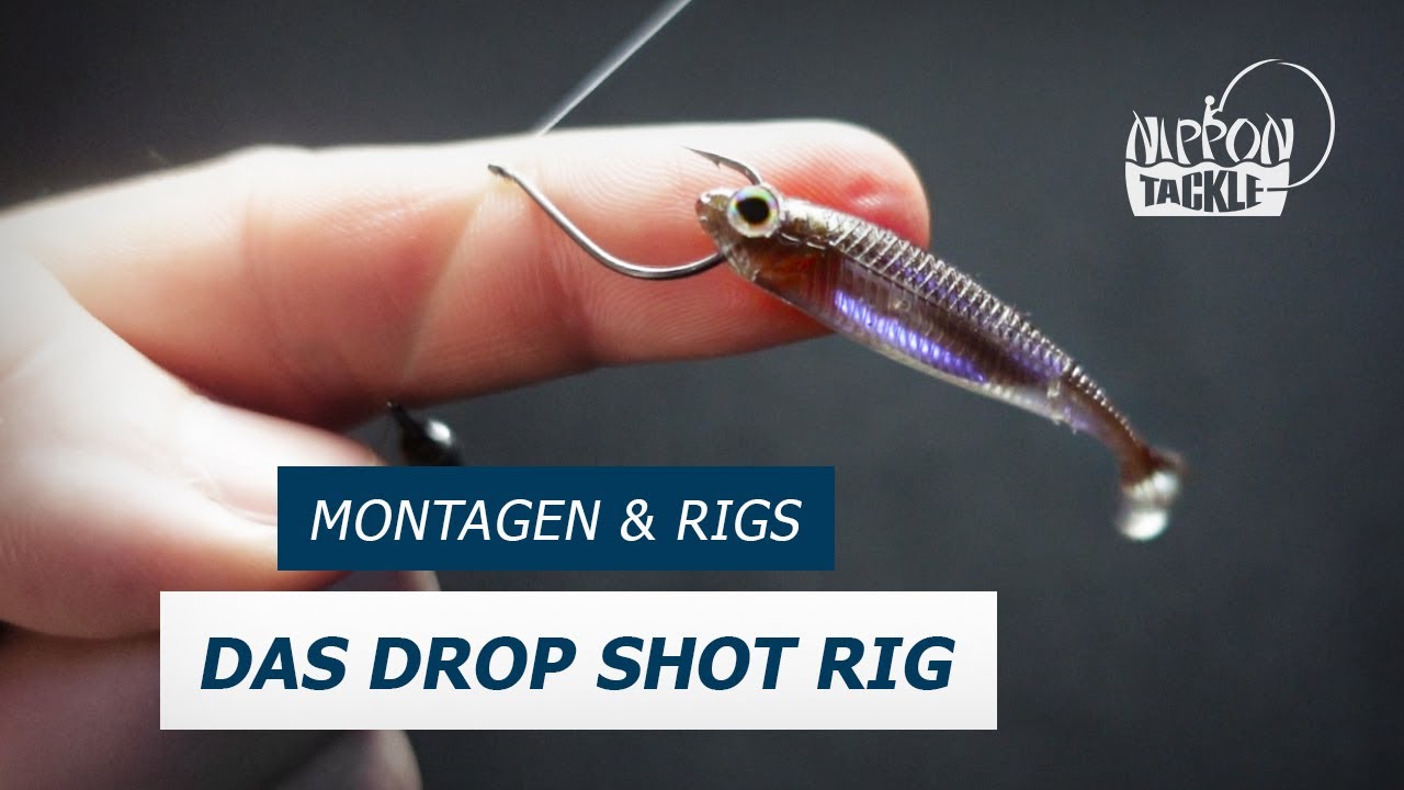 Das Drop Shot Rig - Nippon Tackle Montagen & Rigs