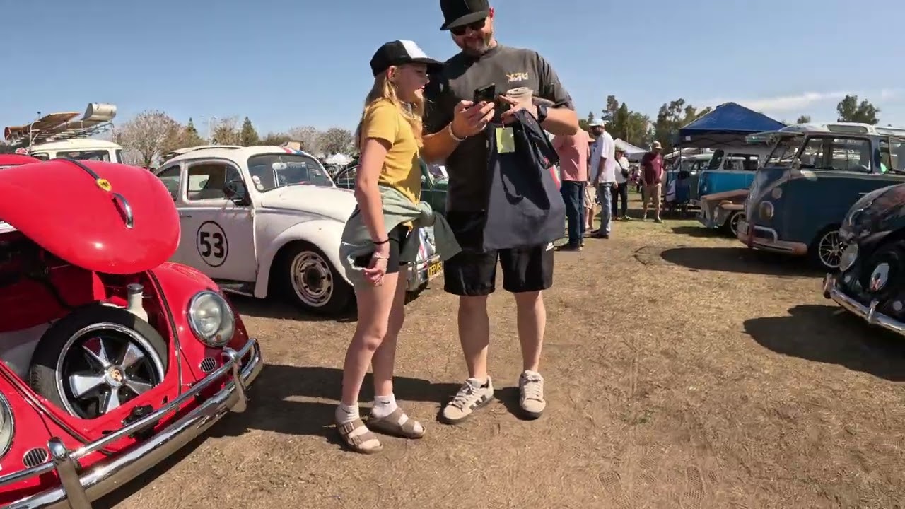 dubfest 2025