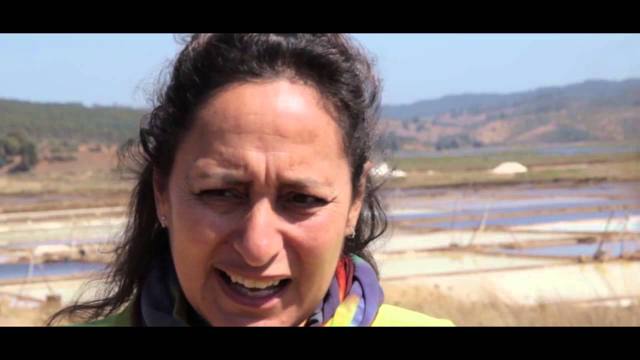 Producción de Sal de Mar en Lo Valdivia, Chile