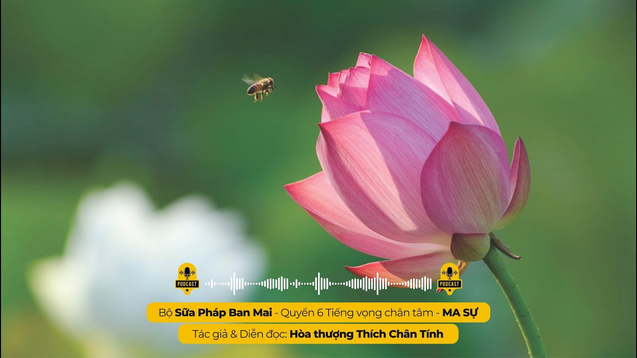 MA SỰ I Tác giả & Diễn đọc - Hòa thượng THÍCH CHÂN TÍNH