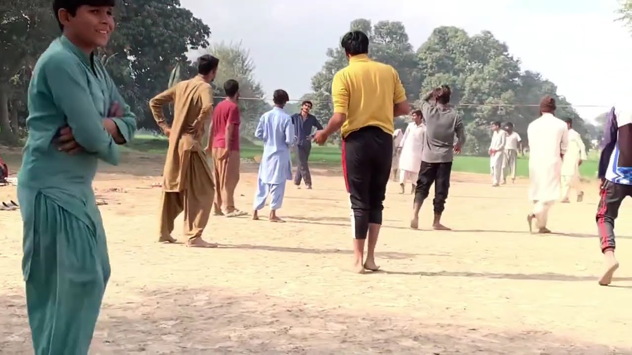 10 African Elephants Vs 10 Giant Tiger Save Cow Video Buffalo From Tiger. Wolf Vs Mammoth Elephant