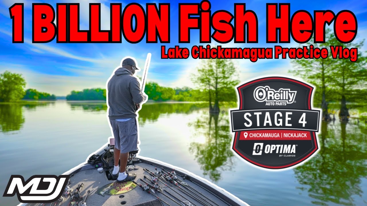 There Are A BILLION FISH Here (Lake Chickamauga Practice - 4K)