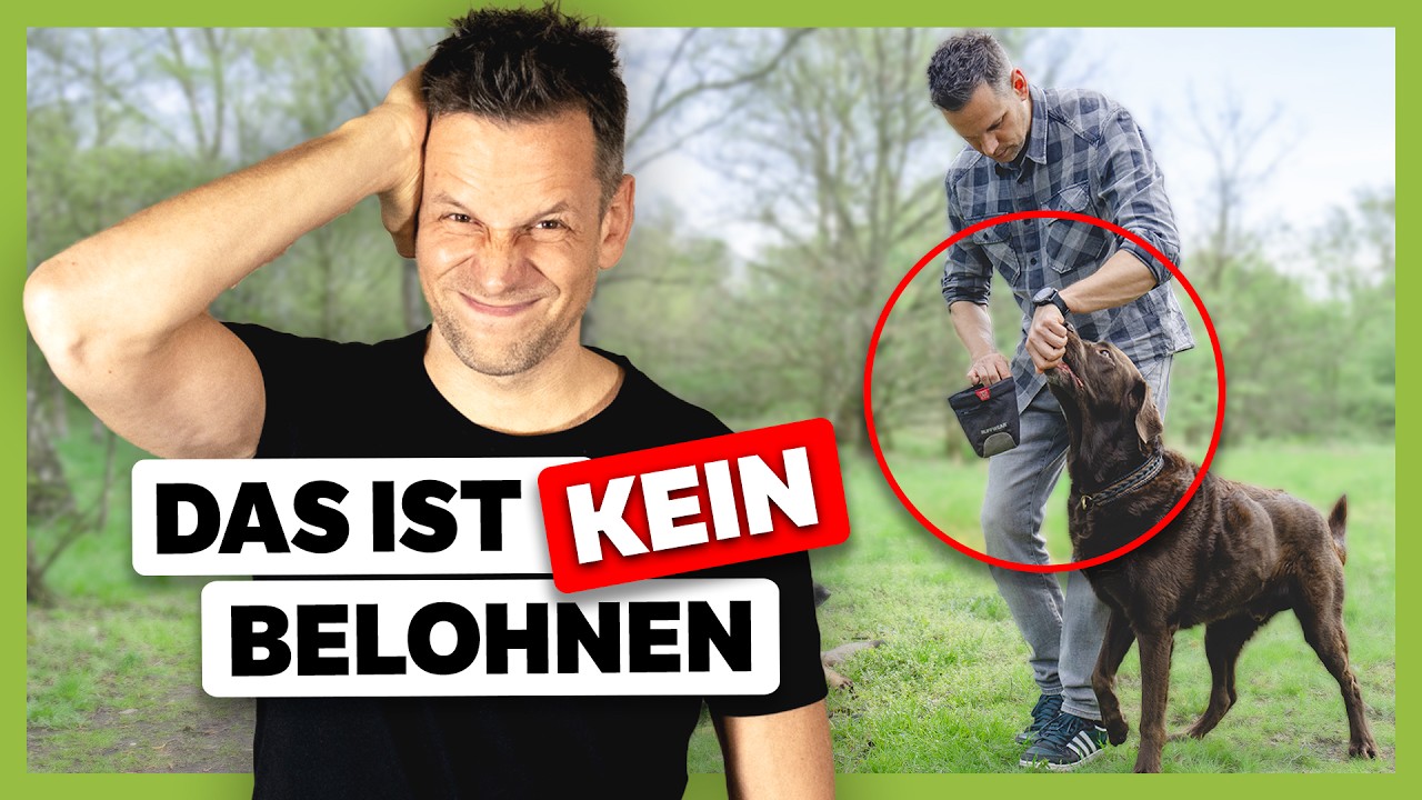 BELOHNEN oder ABLENKEN: Der Unterschied und wie du es richtig machst