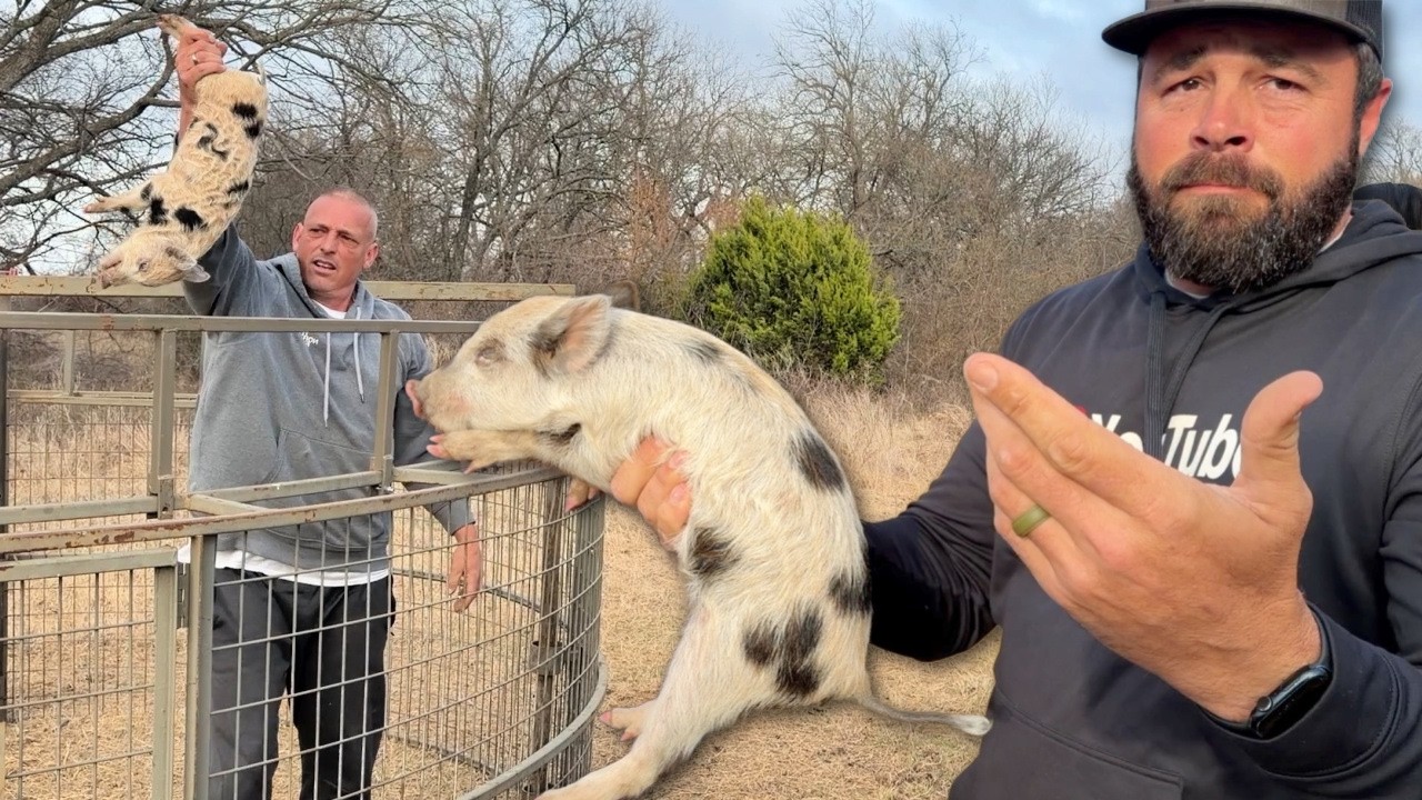 Look at These Wild Bacon Bits!