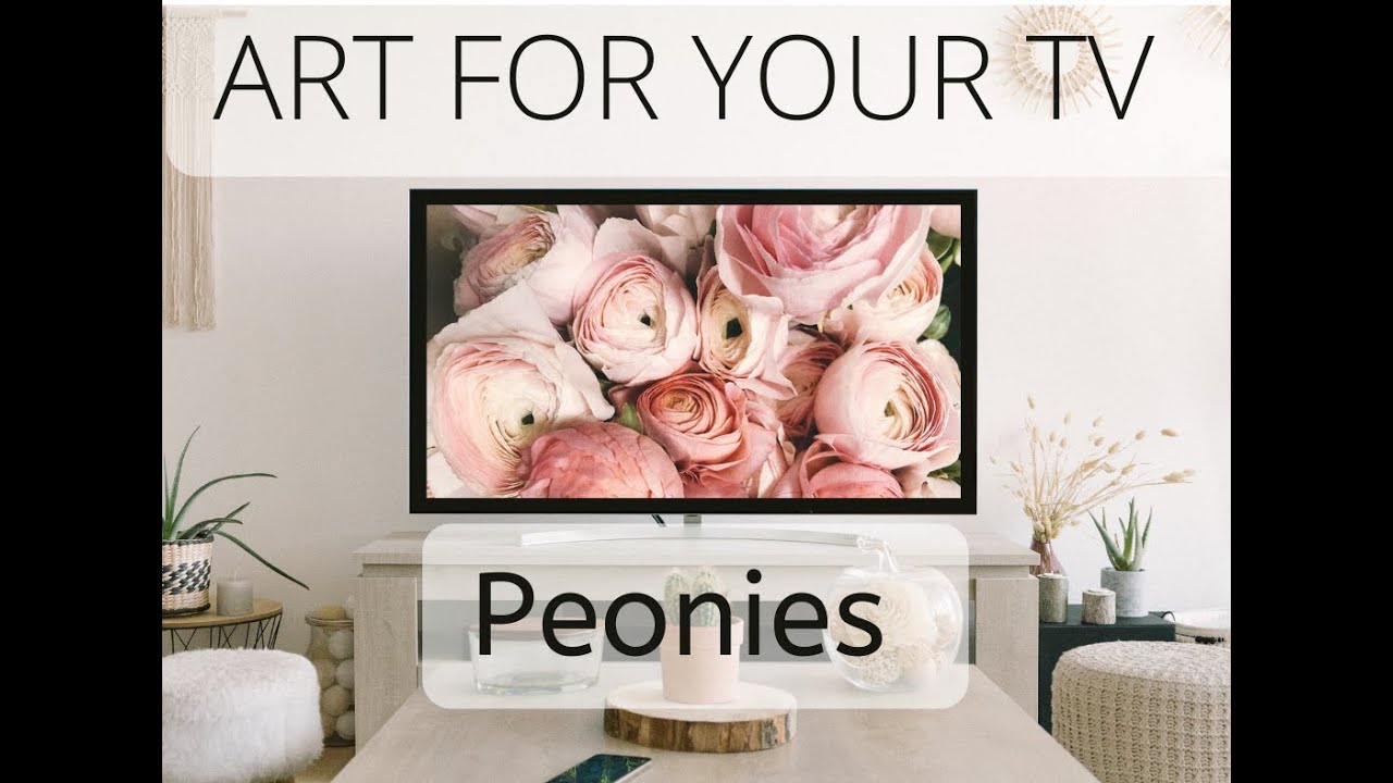 Peonies floral Art |  TV into Art | screensaver | 2Hrs of 4K art | Gallery Mode  |  no sound