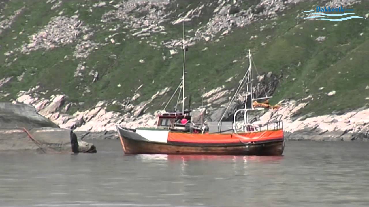 Rorbu - Bakkevik Brygge - Vetvika