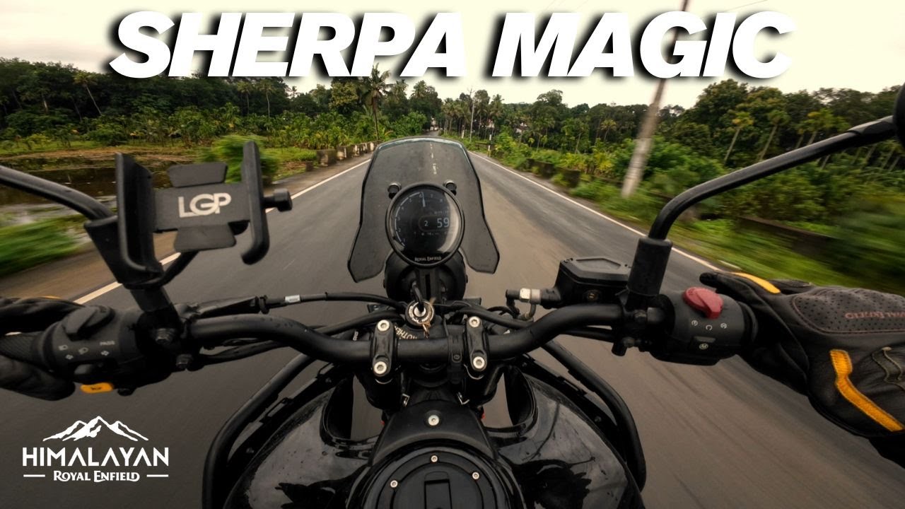 Himalayan 450 Exhaust Note | Pure Sound Ride on Damp Roads | 4K Cinematic POV | Damp Roads