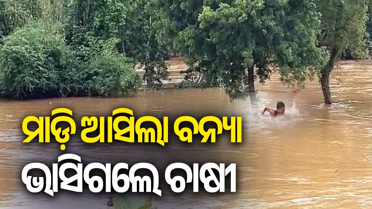 Farmer Goes Missing After Being Swept Away in Bhadrak Floods | Kalinga TV