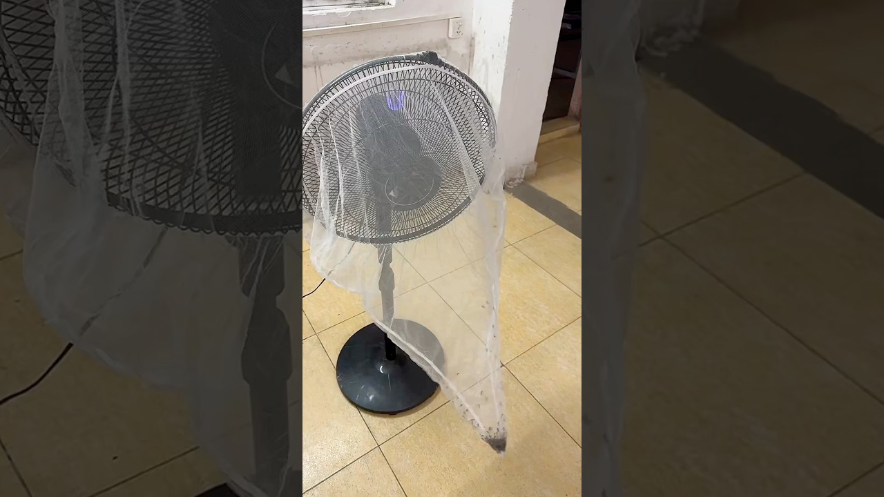 Он создал гениальную ловушку для комаров! 😂