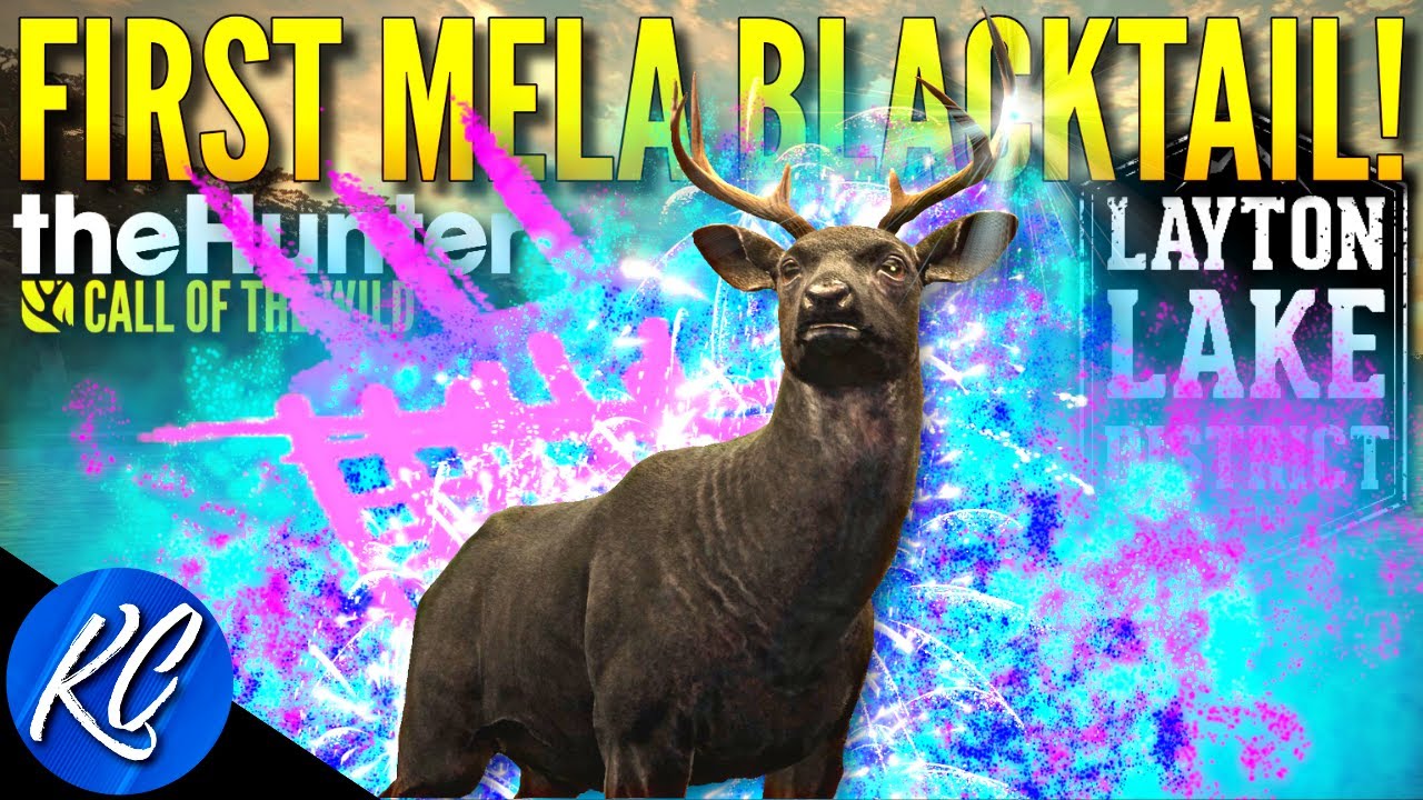 STUNNING Melanistic Blacktail While Grinding For a Melanistic Roosevelt Elk! | Call of the Wild
