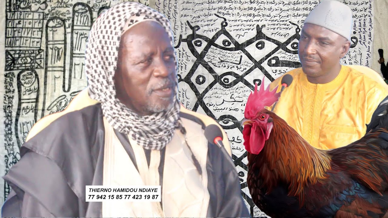 GANNDE BALEEBE THIERNO HAMIDOU NDIAYE