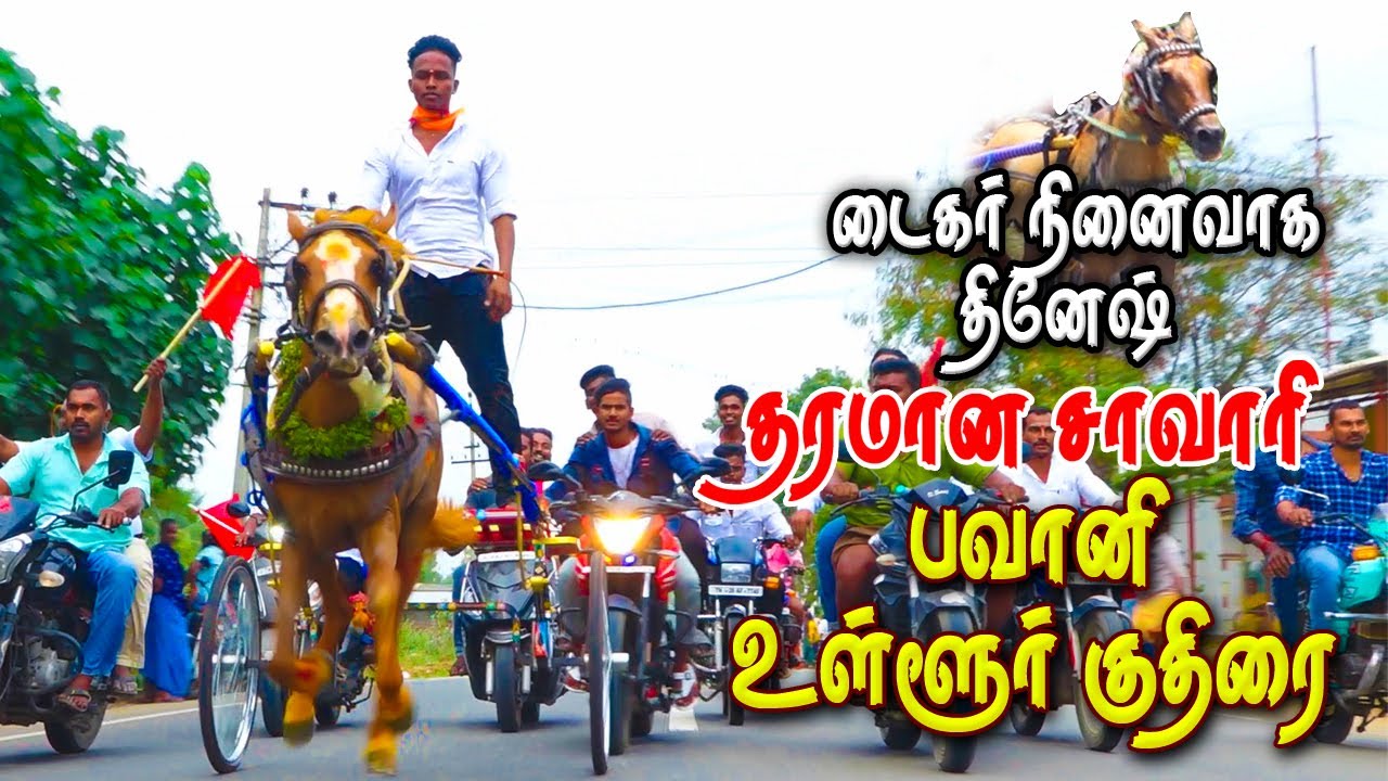 உள்ளூர் குதிரை பவானி ஈரோடு மா 25/12/2022 ullor kuthirai bhavani ksk rekla race horse race