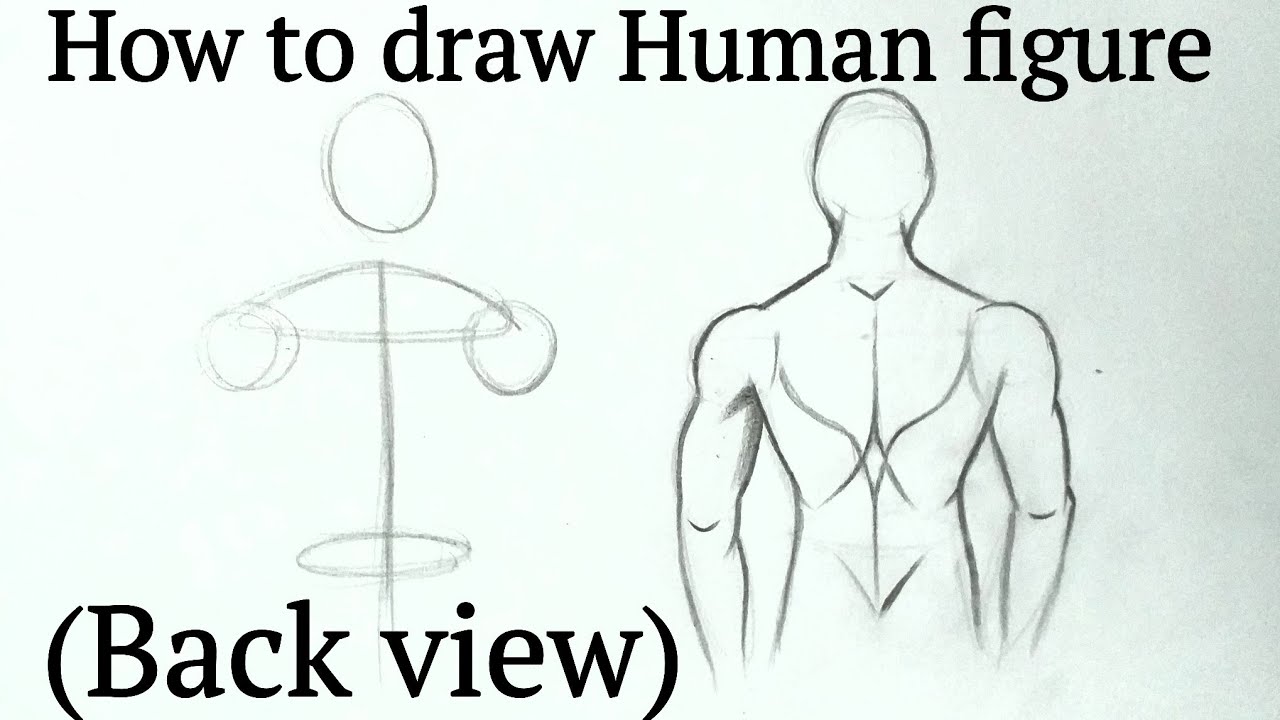 How to draw human figure drawing Male (back view)for Beginners| Pencil drawing tutorial easy Basics