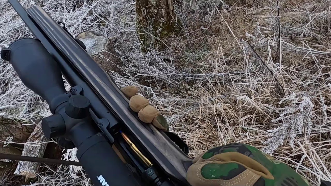 Hunting for roe deer in Norway Jakt etter r&aring;dyr i Norge