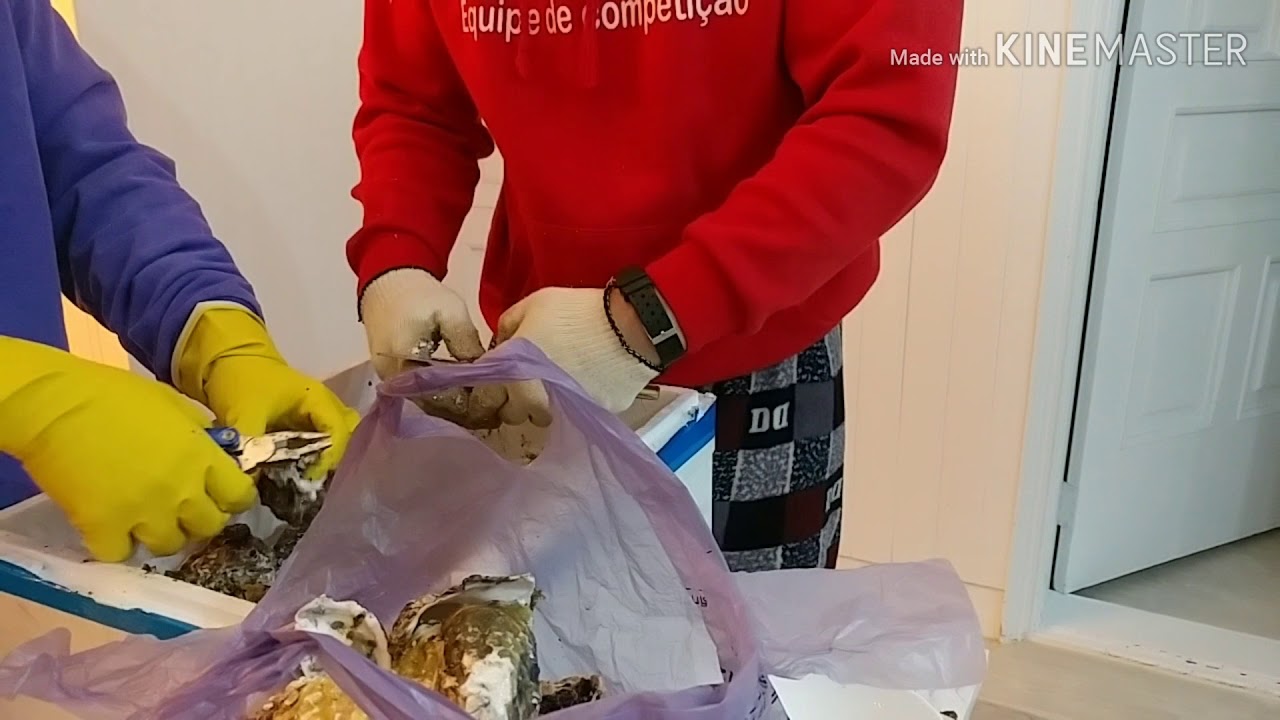 각굴 손질 (굴 지옥)