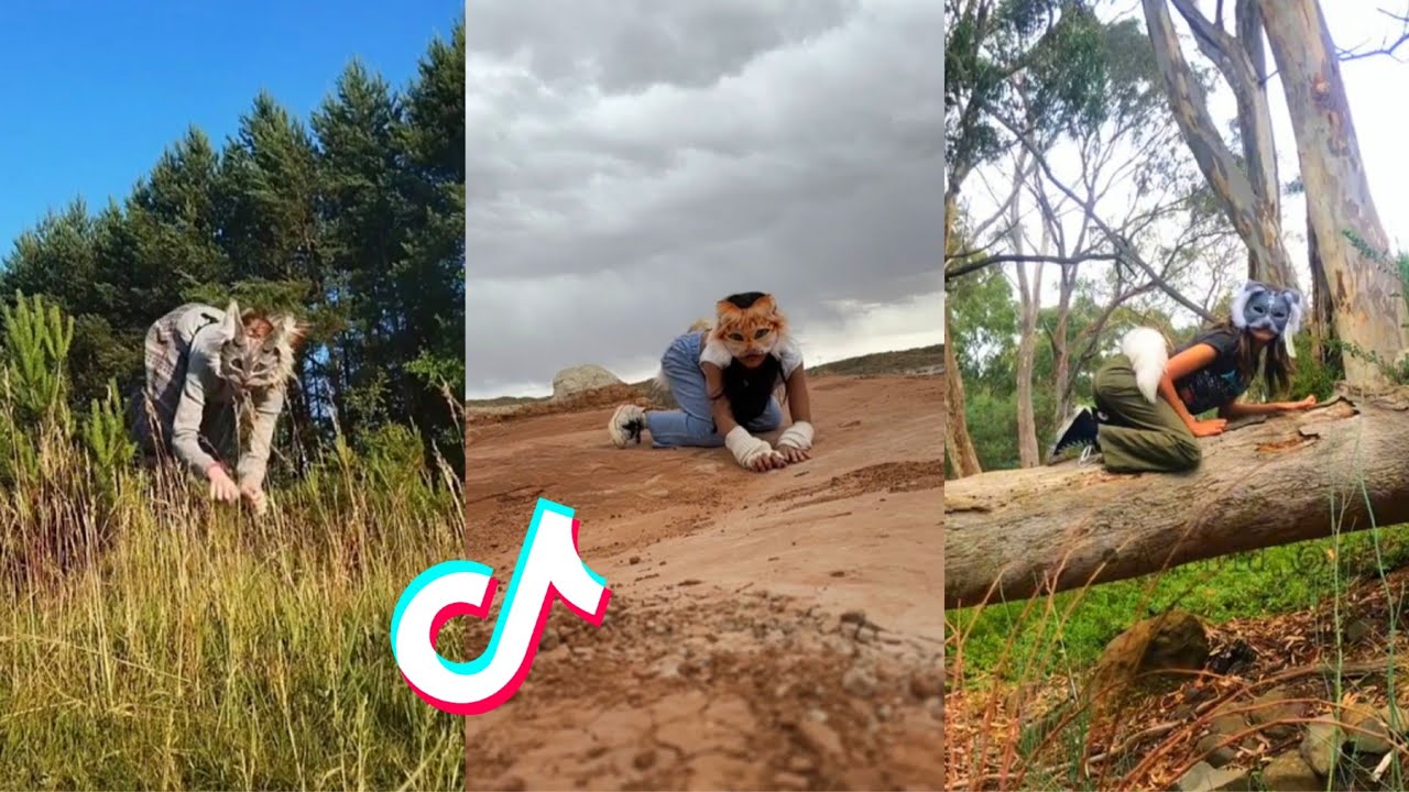 Therian and Quadrobics TikTok Compilation || Alterhumans of TikTok #23