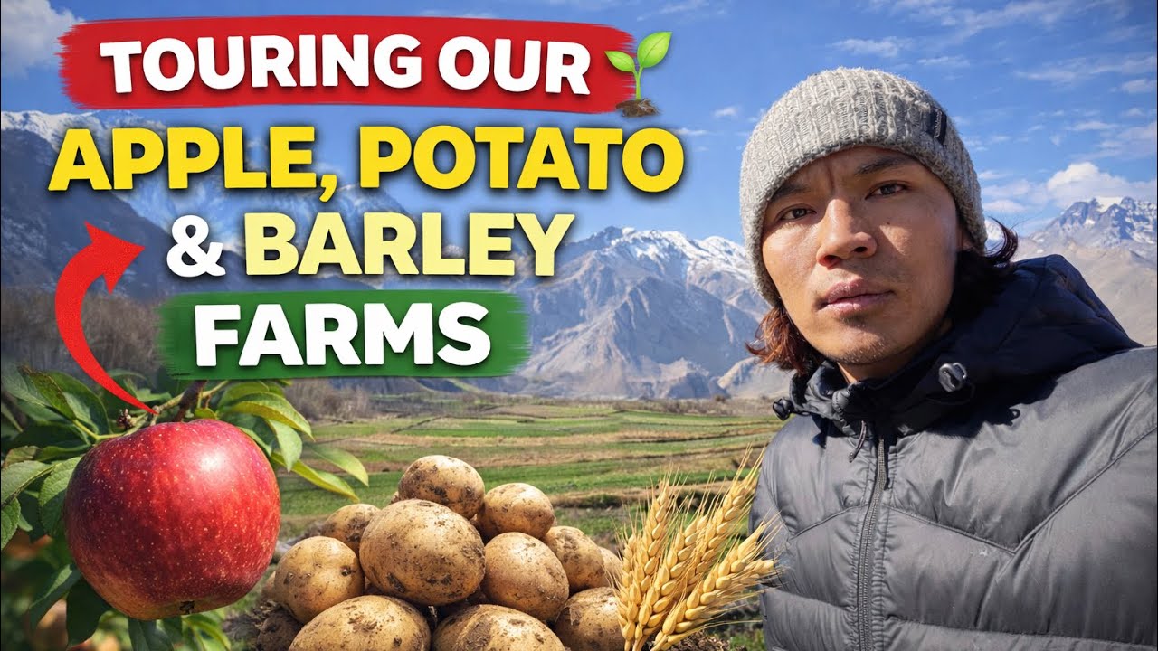 TOURING OUR APPLE, POTATO & BARLEY FARMS // MUSTANG FARMERS LIFE #farmerslife #farmer #applefarming 