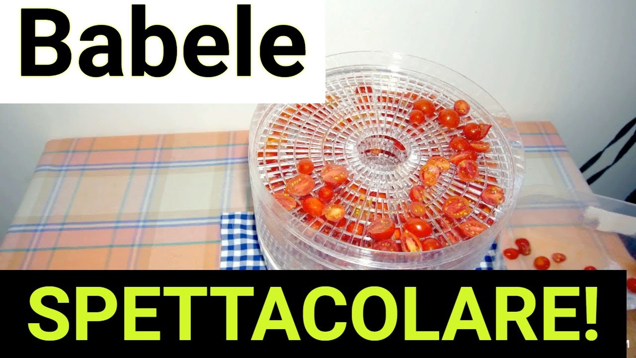 Essiccatore elettrico BABELE! Faccio i POMODORI SECCHI!