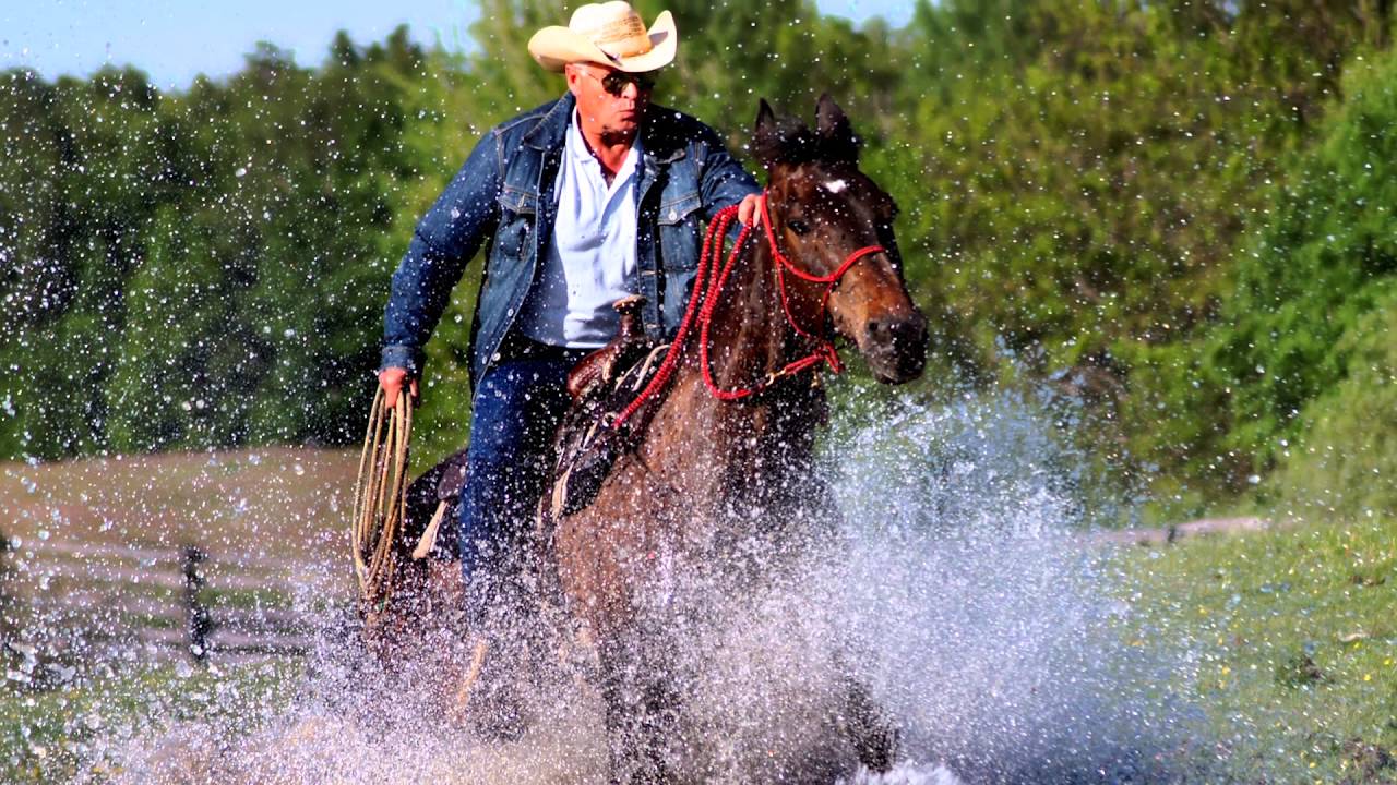 JNBT WILD HORSES ROUNDUP Dzikie Konie 2015