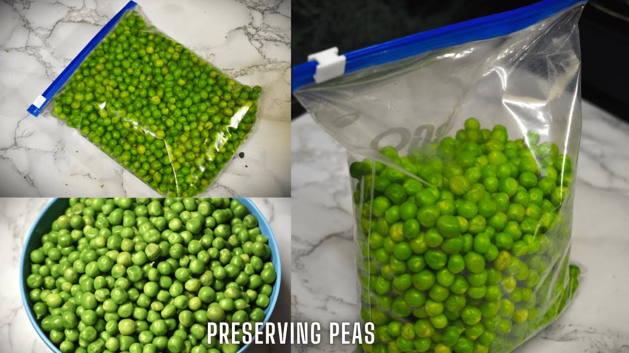 Best Way to Preserve Green Peas for the Whole Year!