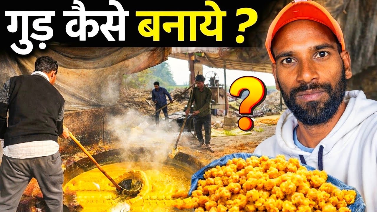 शुद्ध गुड़ कैसे बनता हैं | How To Make Jaggery In Mohali Punjab|| Gud Kaise Banta Hai Video