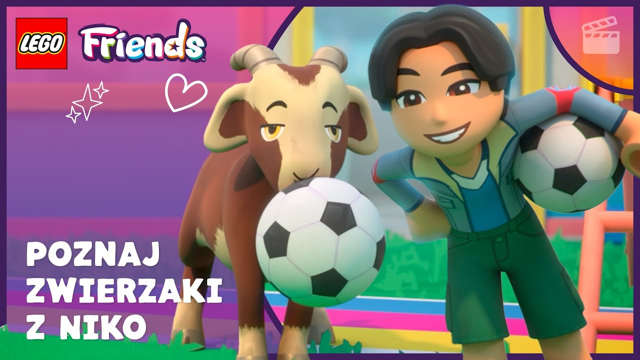 Który zwierzak dorówna energii Niko? ⚽⚡ | Poszukiwania właściwego zwierzaka | LEGO Friends