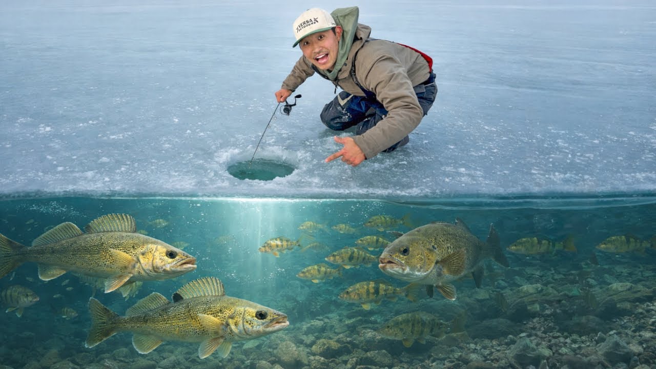 Multi-Species Ice Fishing in Frigid Temperatures! 