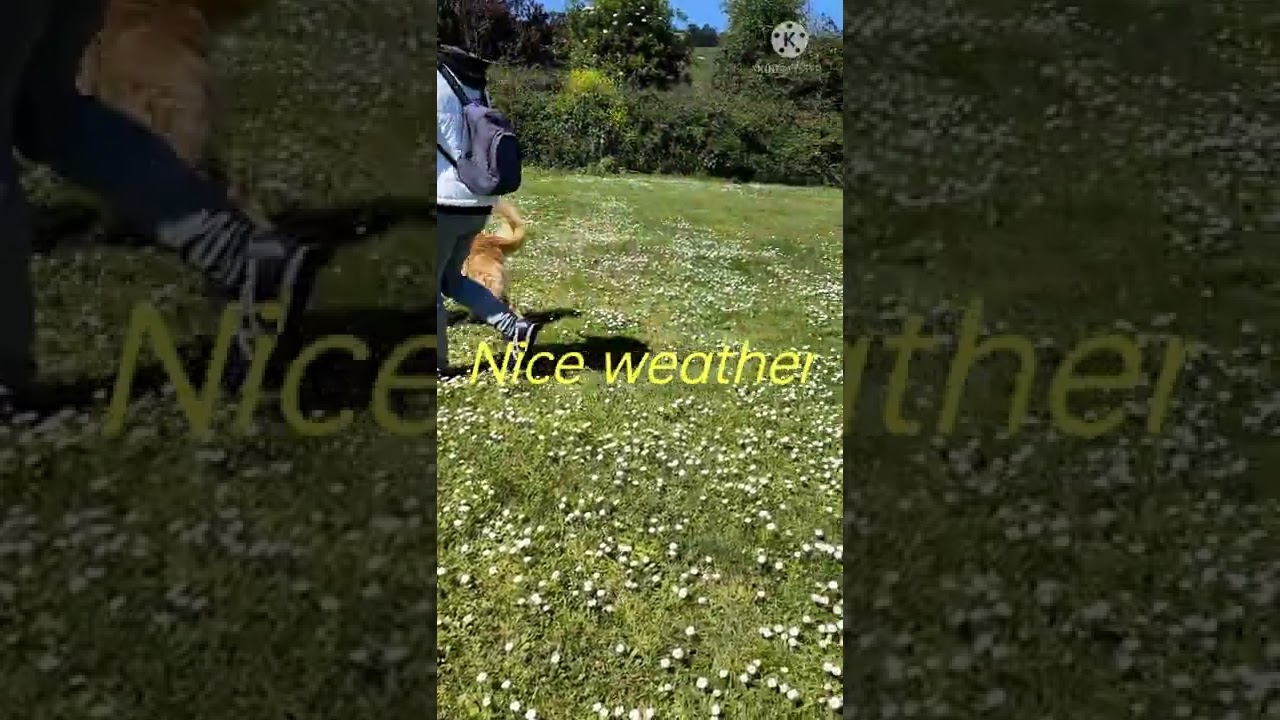 Lauredal Gijon Asturias // The Serde&ntilde;a Martinez vlog//Nice weather #shorts