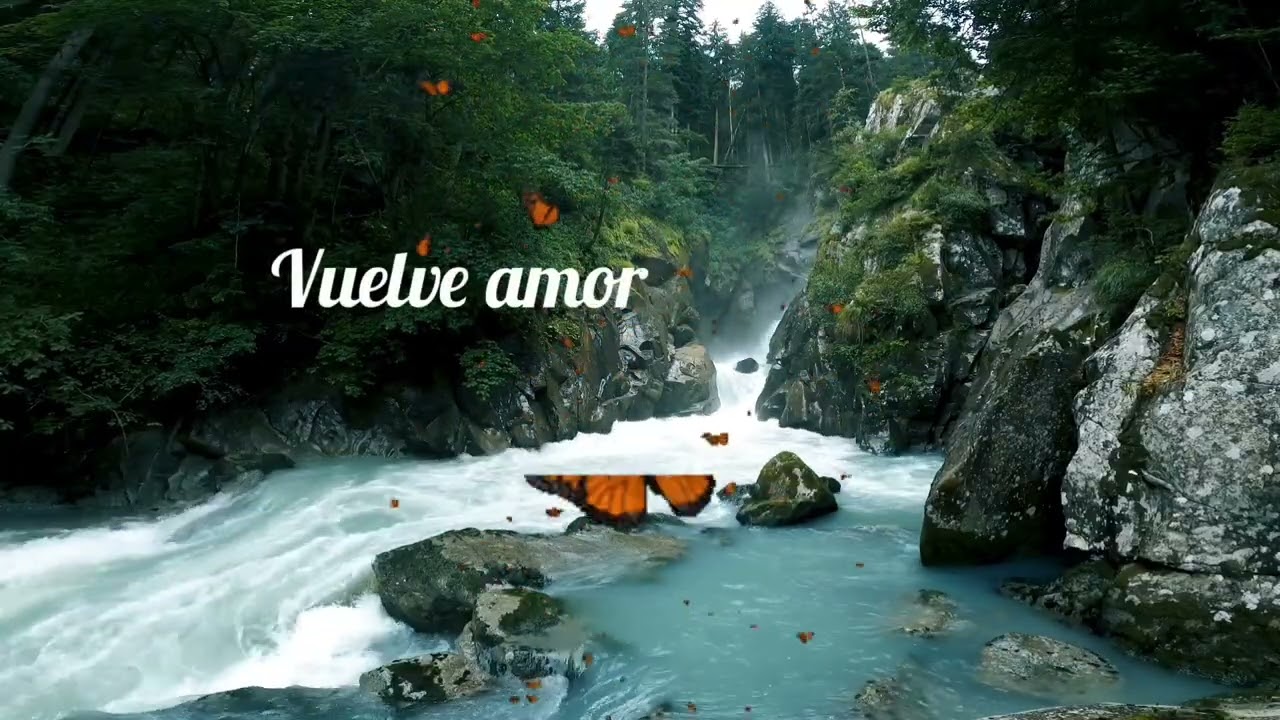 Bachata Vuelve Amor