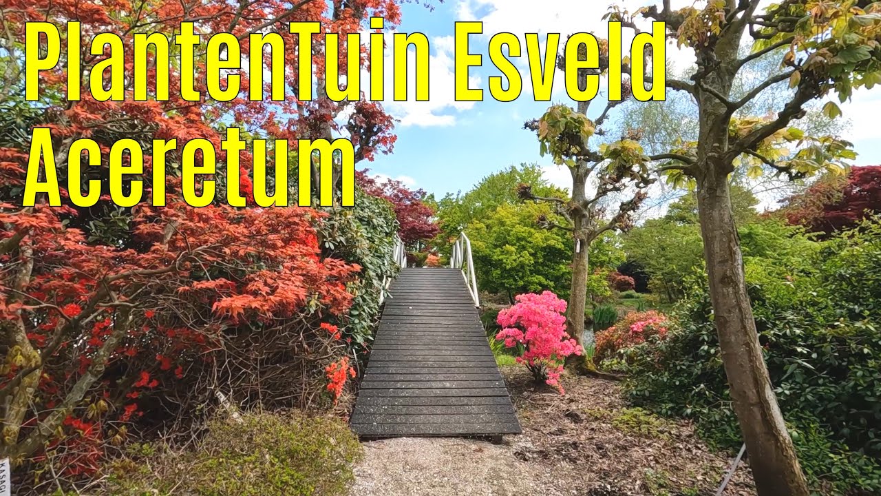 PlantenTuin Esveld   Aceretum 2023-05 part 2