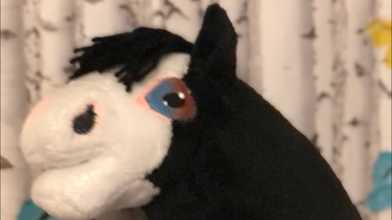 Make a Hobbyhorse with me:)  #horse #hobbyhorse #make #createwithme #sewing #subscribe #likes 