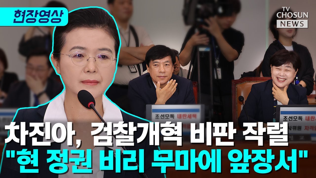 차진아 