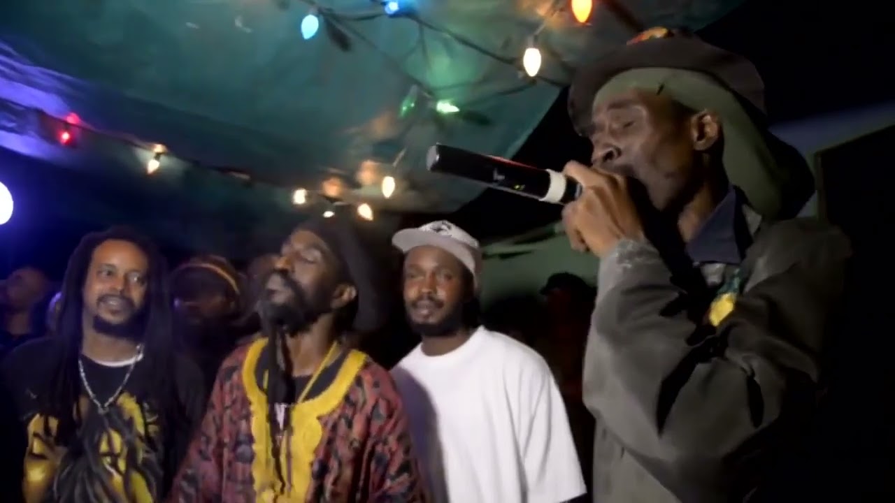 Dub In The Rainforest 4 (Reggae Live)(Midnite And Friends)