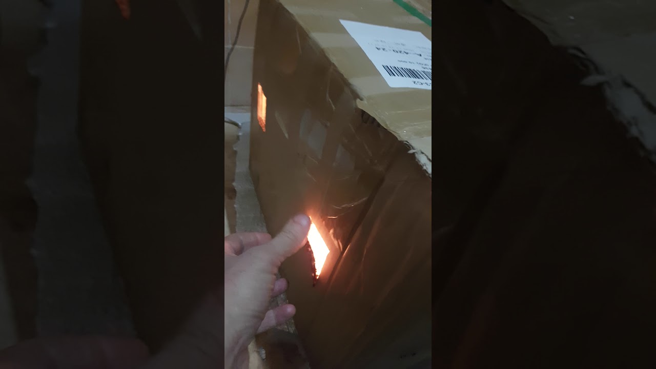 نجاح تجربة فقاسة البيض من الكرتون بشكل بسيط