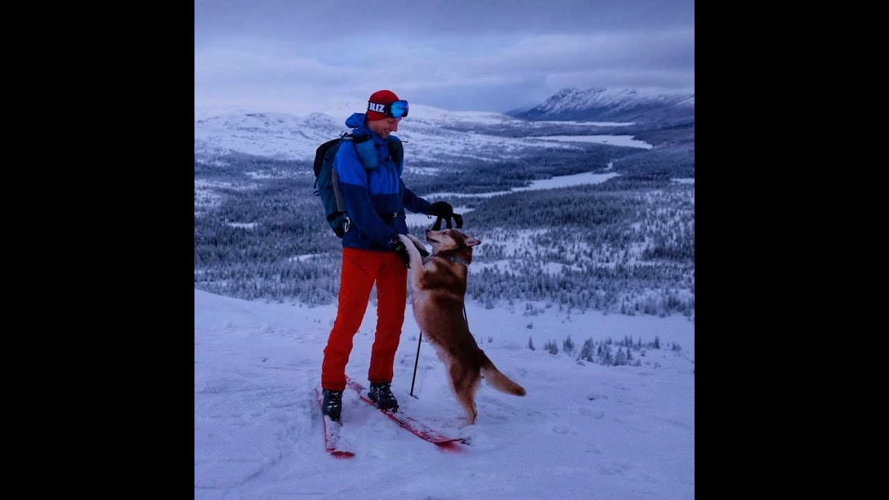 Tribute to Gátchis Pirak our mountain dog forever.
