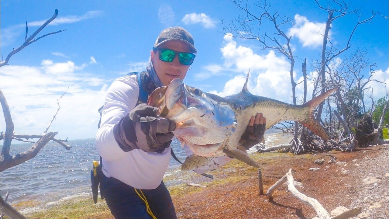 Pesca a Spining desde la Orilla Batalla con buen Sabalo o Tarpon