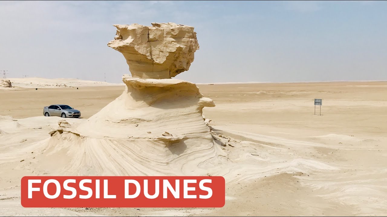 THE AMAZING FOSSIL DUNES / ABUDHABI&rsquo;s HIDDEN GEM