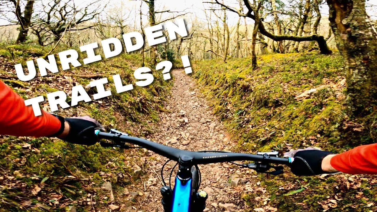 How is there STILL tracks I've never ridden!? Quantocks MTB