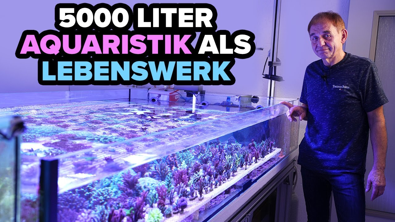 5000 Liter AQUARIENKELLER - Das Lebenswerk von Manfred!