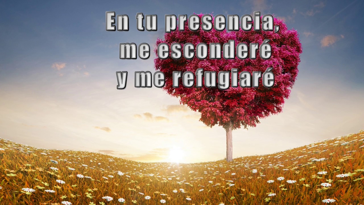 Bajo tus alas