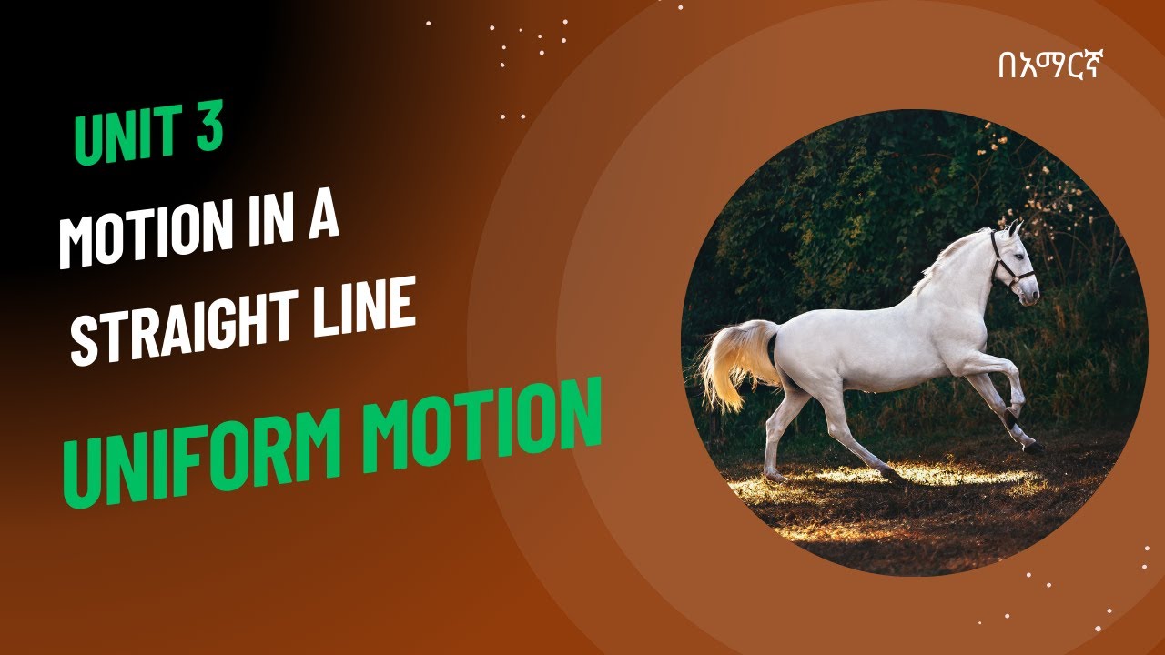 Uniform Motion |Grade 9 Physics |Unit 3 - Motion in a Straight Line