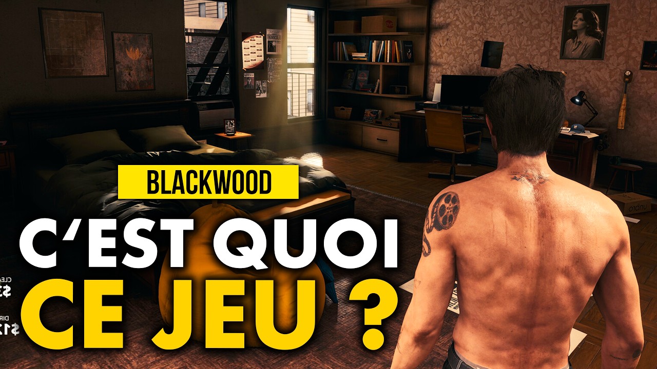 Le JOHN WICK du JEU VID&Eacute;O EST L&Agrave;&hellip;  il DIVISE D&Eacute;J&Agrave; les joueurs ! (BLACKWOOD)