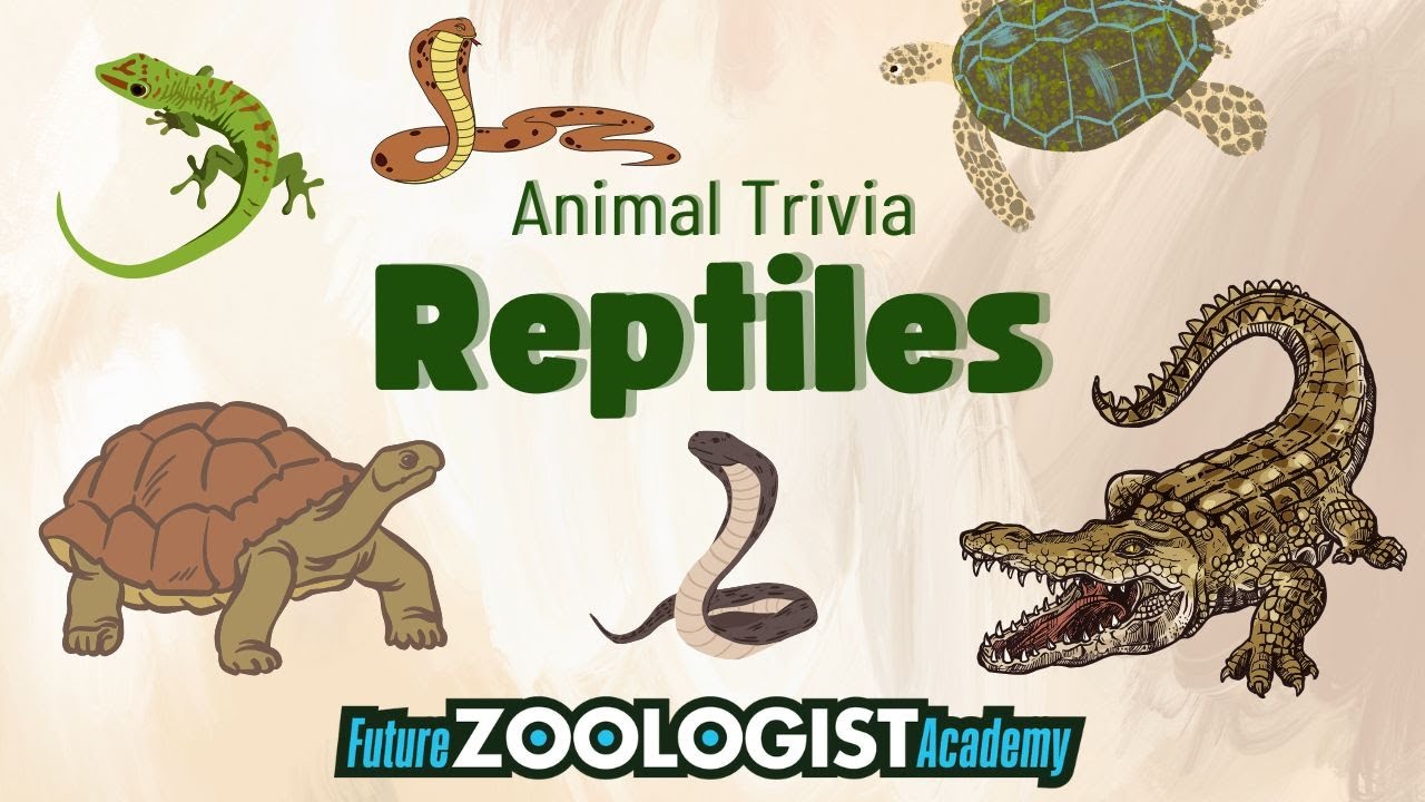 Reptile Animal Trivia | 10 Trivia Questions to Learn About Reptiles