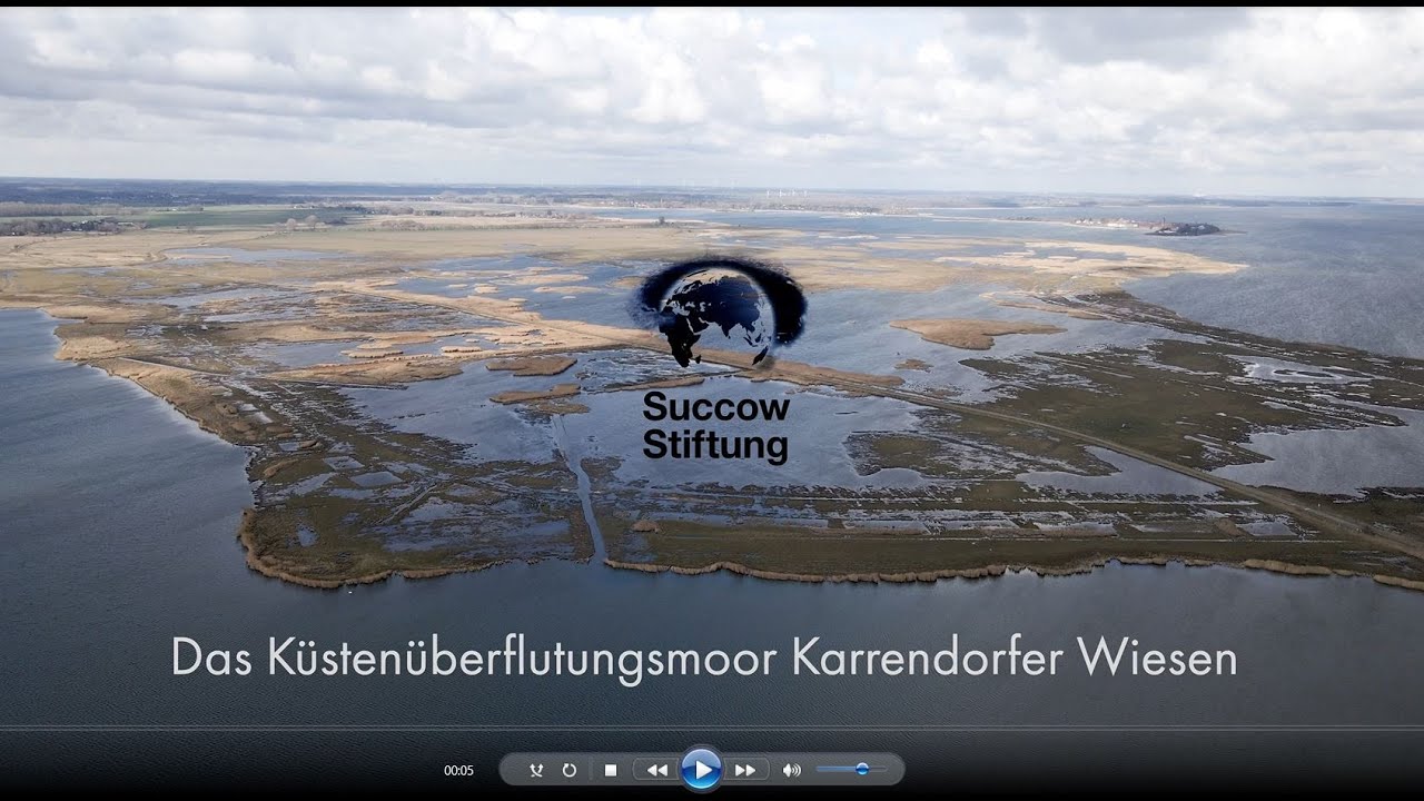 Zwischen Meer, Land und Wind: das Küstenüberflutungsmoor Karrendorfer Wiesen